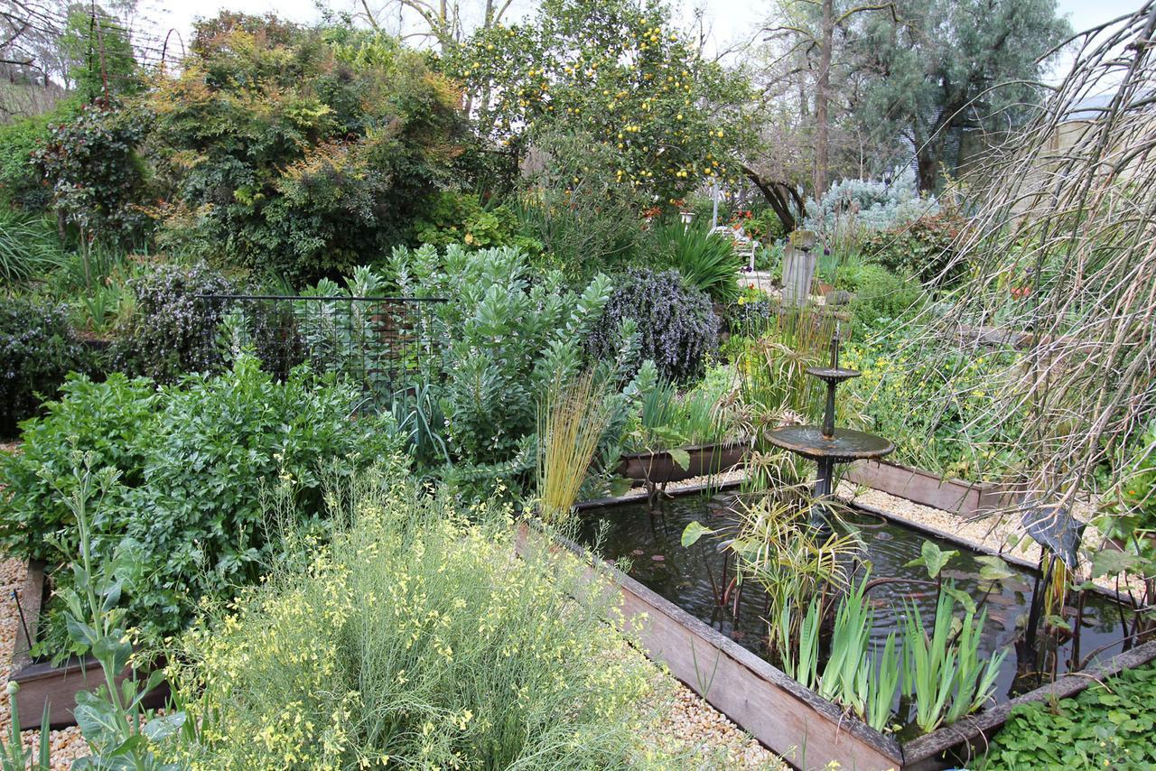 Palm House Bed and Breakfast Maldon Exteriör bild